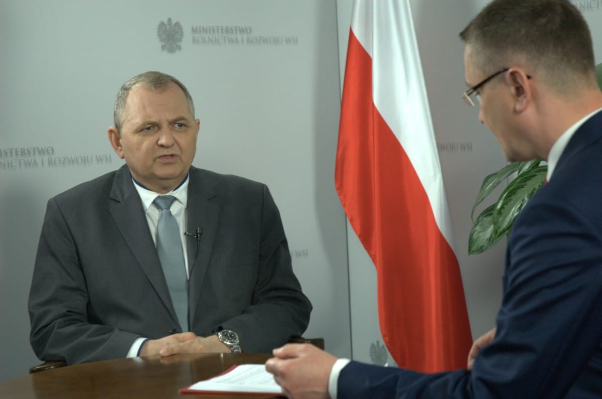 Małe jest piękne