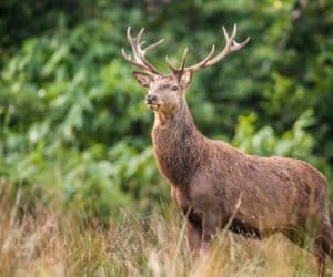 Odszkodowania – będzie łatwiej?