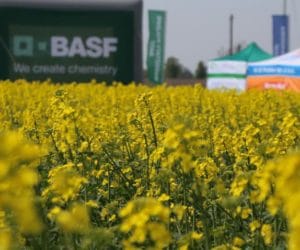 AGRO AKADEMIA BASF 2016: ruszyły warsztaty polowe
