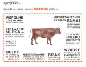 mastisis info 1 
