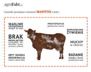mastisis info 2
