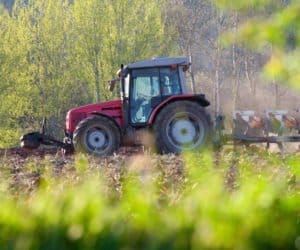Rolnictwo ekologiczne: więcej czasu na składanie wniosków