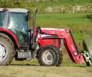 Prawidłowe zakiszanie zielonek: jak to zrobić?