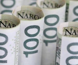 Kredyt preferencyjny: linia RR. Co umożliwia sfinansować?