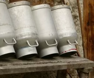 Będzie pomoc dla producentów mleka?