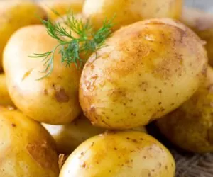 Już są młode polskie ziemniaki! Czy są opłacalne?