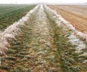 Straty są duże – będzie pomoc