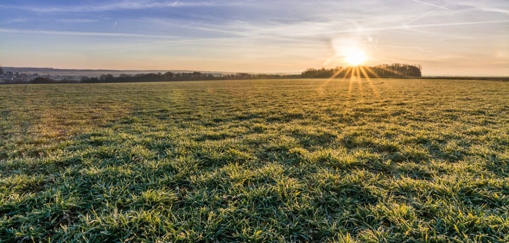 Warmińsko-mazurskie: szkody po zimie oszacowane