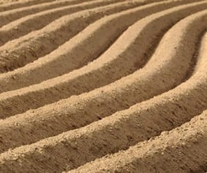 Dopłaty za 2016 r.: zostało 18 dni na złożenie wniosków