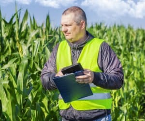 Jedna inspekcja – dwa projekty