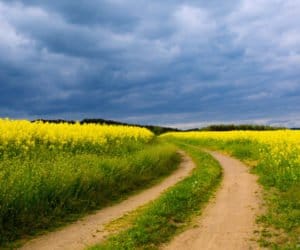 Ustawa o&nbsp;wstrzymaniu sprzedaży ziemi do poprawki