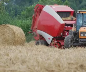 Przegląd prasy rolującej przed sezonem: na co zwrócić uwagę?
