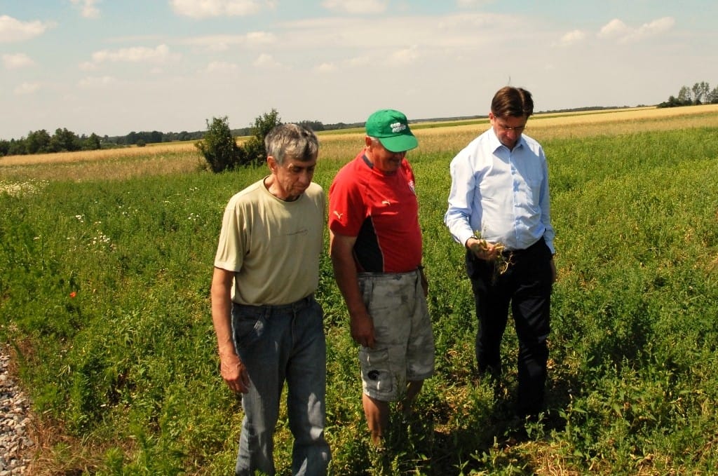 Jaka pomoc dla poszkodowanych przez suszę i&nbsp;nawałnice?
