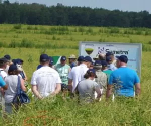 Syngenta