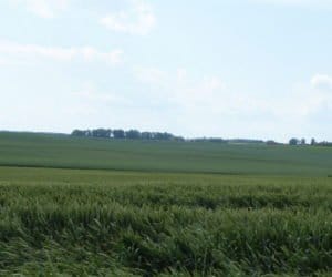 Ośrodki doradztwa rolniczego: ustawa bez poprawek