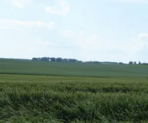 ośrodki doradztwa