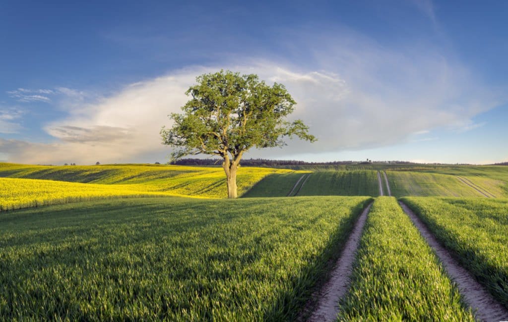 Ustawa o wstrzymaniu sprzedaży ziemi znów w Sejmie