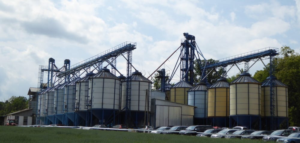 Mazowieckie: co skup to inne ceny