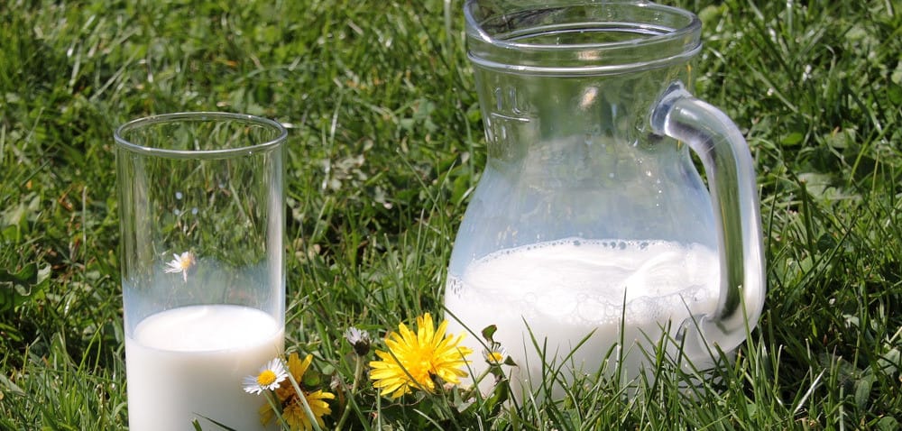 Mleko i&nbsp;produkty mleczne bez GMO