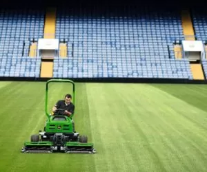 Stadionowa murawa i&nbsp;jej tajemnice