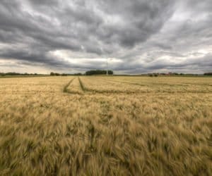 Serwis pogodowy dla rolników