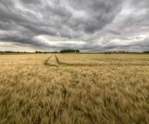Serwis pogodowy dla rolników