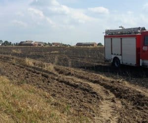 Płonie zboże na pniu!