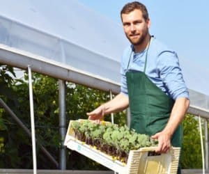 PROW: rolniku, zbliża się nowy nabór wniosków