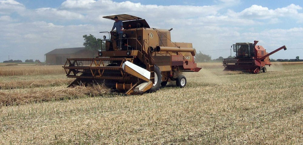 Rozpoczęły się rzepakowe żniwa w&nbsp;Wielkopolsce