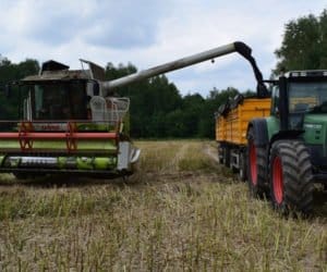 Dochód z&nbsp;uprawy rzepaku – zarobiliśmy w&nbsp;tym roku czy straciliśmy?