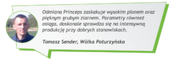 Tomasz Semder