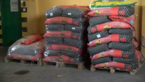top farms nasiona