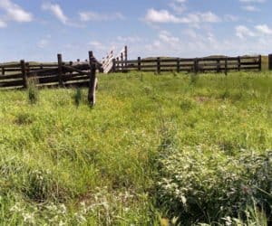 Czy nowa agencja zastąpi 2&nbsp;stare?