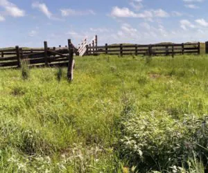 Czy nowa agencja zastąpi 2&nbsp;stare?