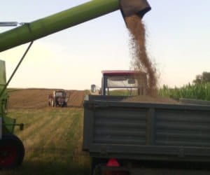 Zachodniopomorskie: ruszył skup mokrego ziarna