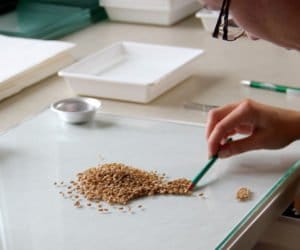 Krok 3: unikalna technologia czyszczenia i&nbsp;zaprawiania ziarna