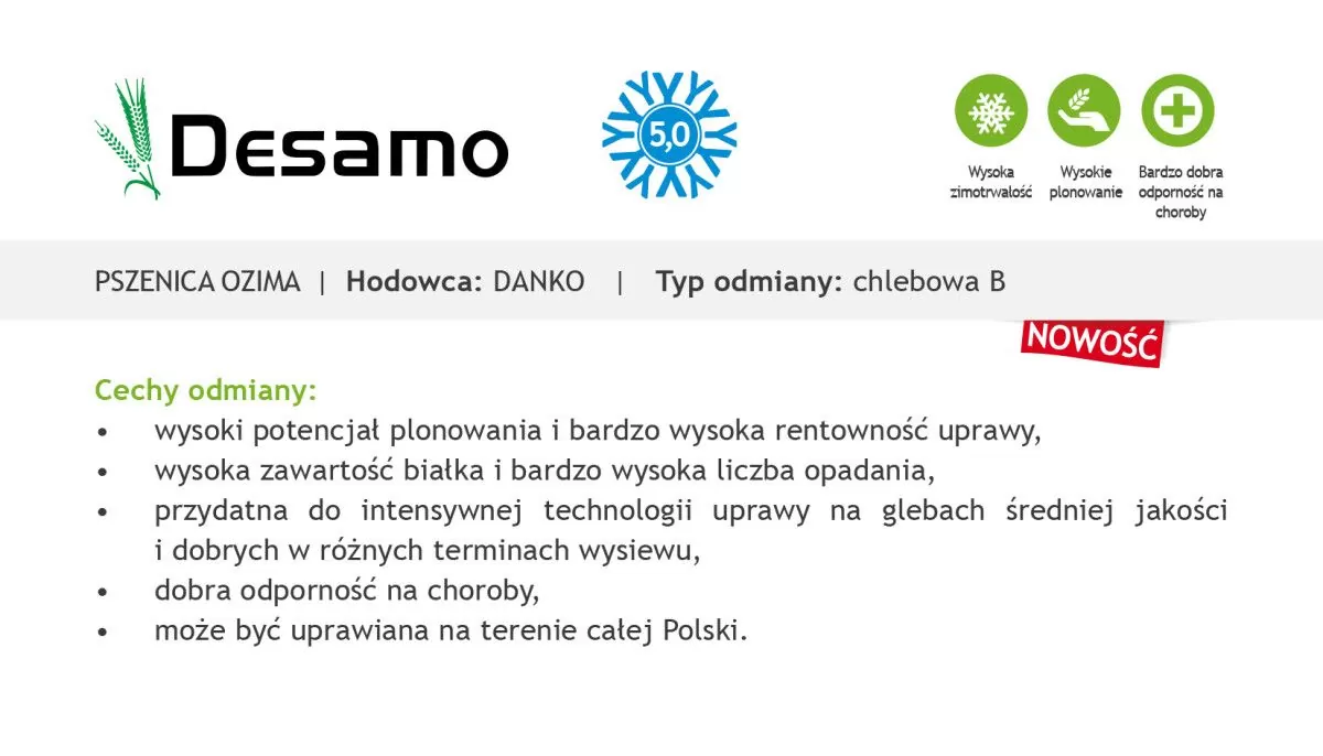 Czym charakteryzuje się pszenica ozima Desamo?