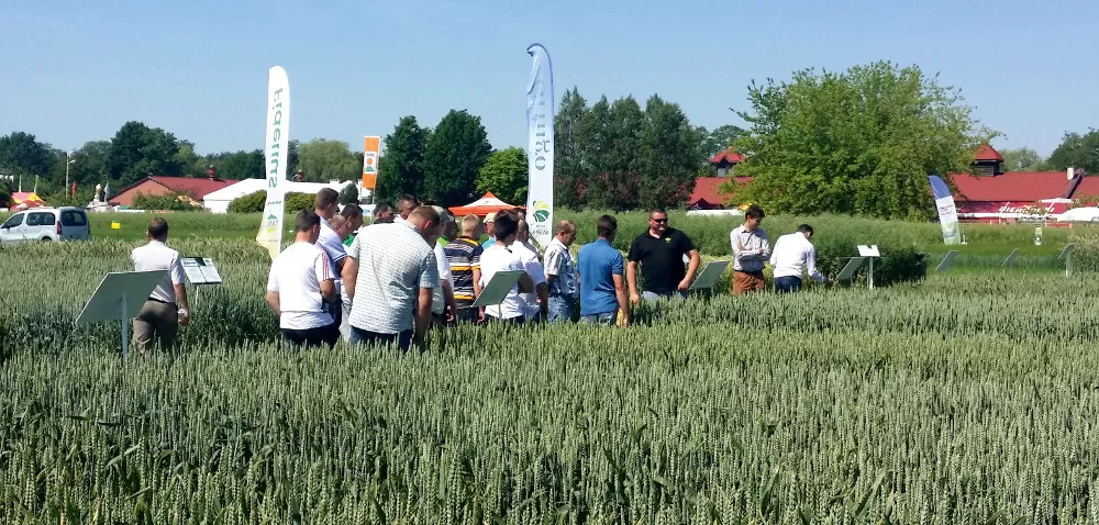 Krok 4: całoroczne doradztwo – profesjonaliści dla profesjonalistów