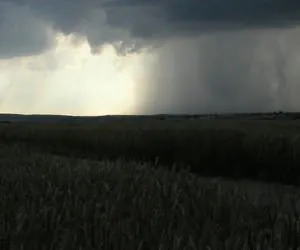 Warmia i&nbsp;Mazury: rolnicy wnioskują o&nbsp;uznanie klęski!