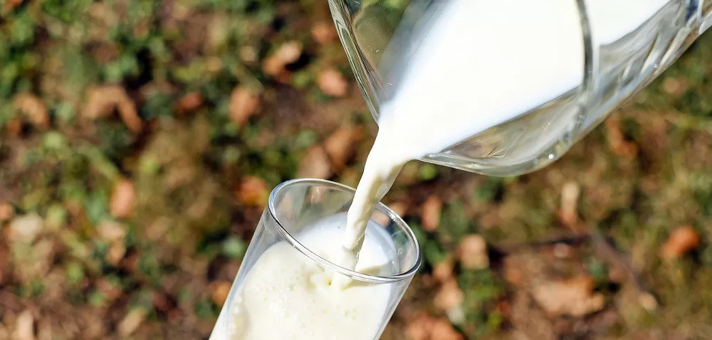 Jak ograniczyć liczbę bakterii w mleku?