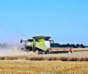 Podlaskie: żniwa na finiszu. Z&nbsp;jakim wynikiem?