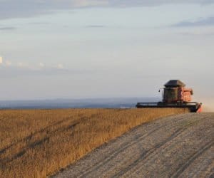 Kujawsko-pomorskie: jak rolnicy podsumowują zbiory?