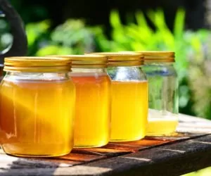 Ogólnopolskie Dni Pszczelarza: 2–4 września