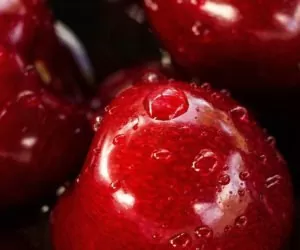 Jabłka do Chin trzeba uprawiać po chińsku