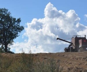 Zachodniopomorskie: jeszcze z&nbsp;tydzień i&nbsp;koniec żniw