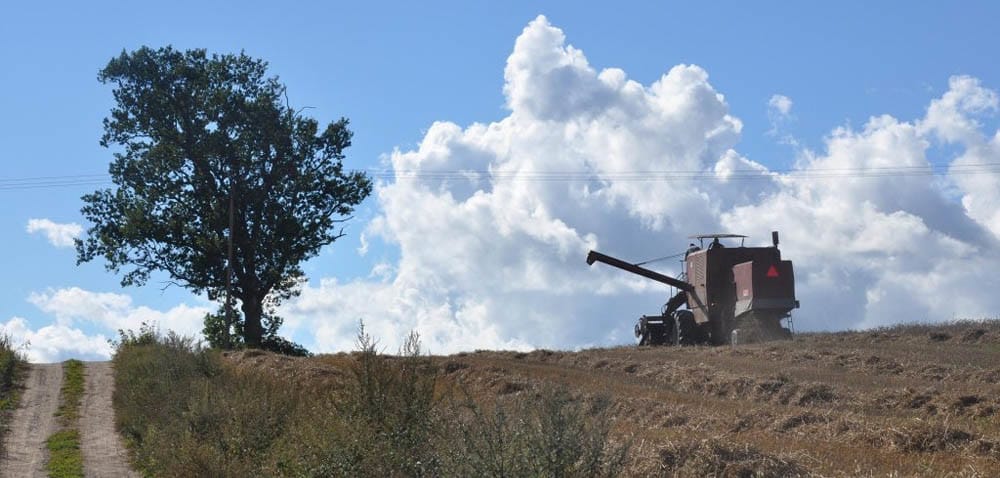 Zachodniopomorskie: jeszcze z&nbsp;tydzień i&nbsp;koniec żniw