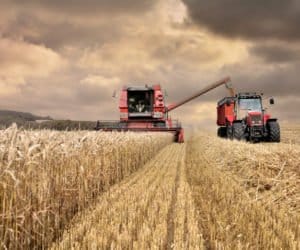 Żniwa na Warmii i&nbsp;Mazurach wreszcie dobiegają końca!