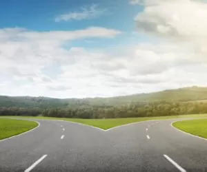 Samorządy Województw a&nbsp;nabory wniosków na PROW