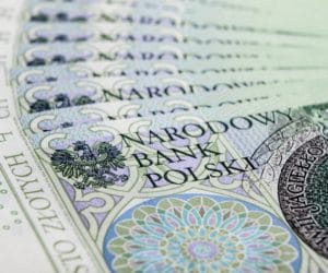 Premia 60 tysięcy dla małych gospodarstw. Rusza nabór wniosków!