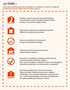 Uniknięcie schorzeń racic